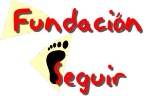 LOGO fundación seguir